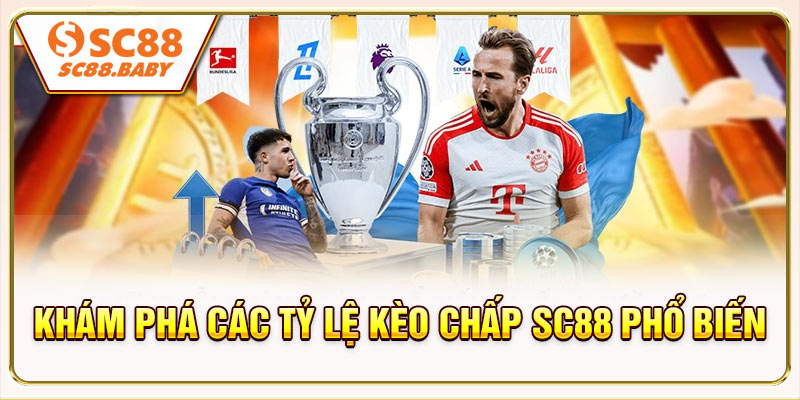 Khám phá các tỷ lệ kèo chấp SC88 phổ biến