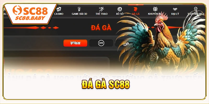 Các sảnh đá gà SC88