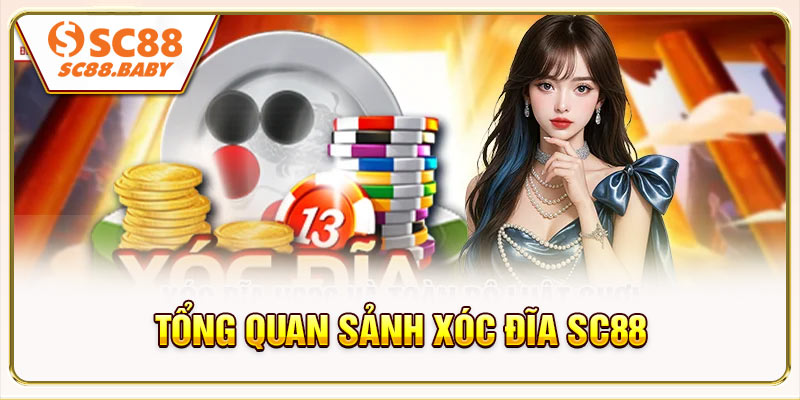 Tổng quan sảnh xóc đĩa SC88 đang siêu HOT
