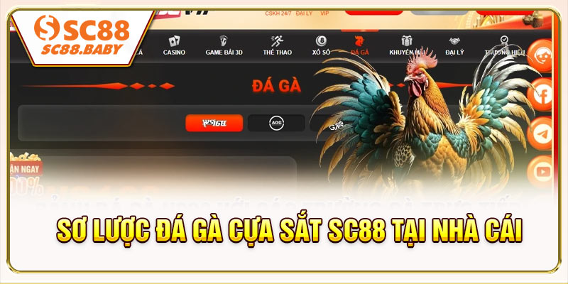 Sơ lược Đá gà cựa sắt SC88 tại nhà cái