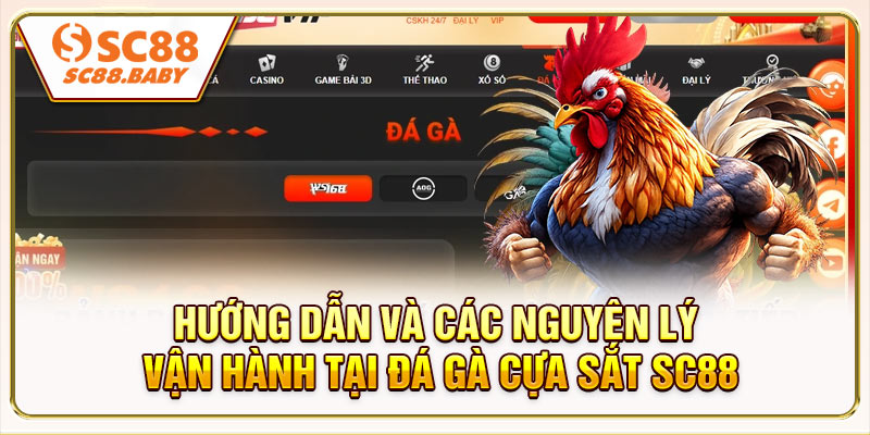 Hướng dẫn và các nguyên lý vận hành tại Đá gà cựa sắt SC88