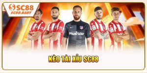 Kèo Tài Xỉu SC88 - Bí Quyết Chinh Phục Cược Thể Thao Hiệu Quả