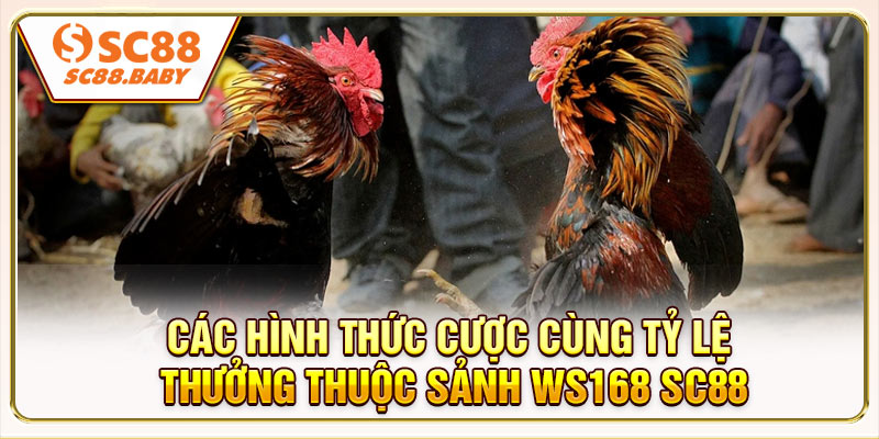 Các hình thức cược cùng tỷ lệ thưởng thuộc sảnh Ws168 SC88